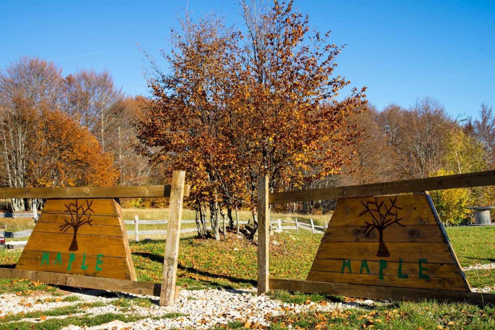 Maple Bungalows Zabljak  Bagian luar foto