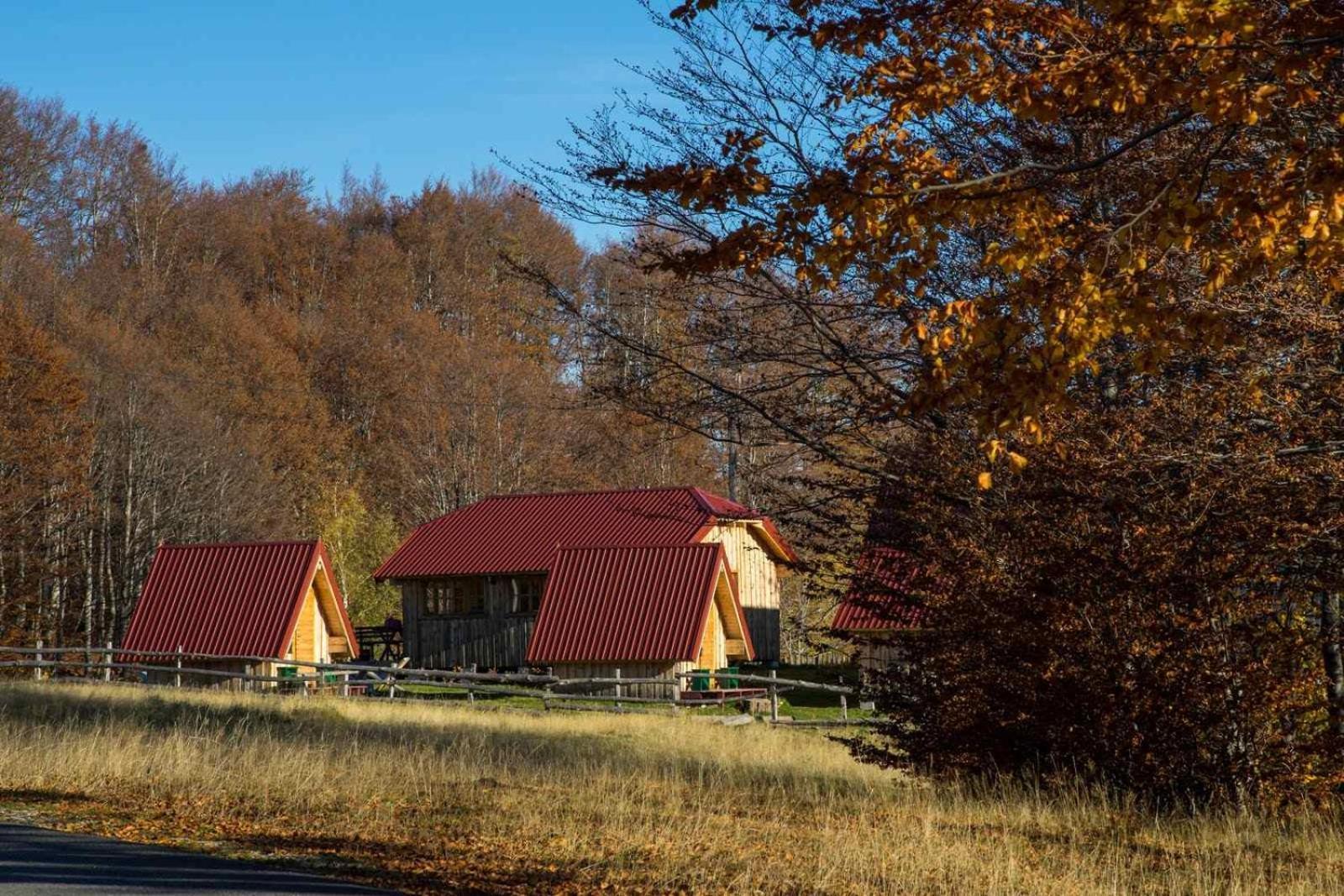 Maple Bungalows Zabljak  Bagian luar foto